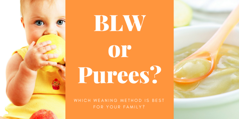 Are you a first time mom? One of the big decisions coming your way is Baby Led Weaning vs Traditional Purees. Read which might be best for your family. @GagenGirls.com