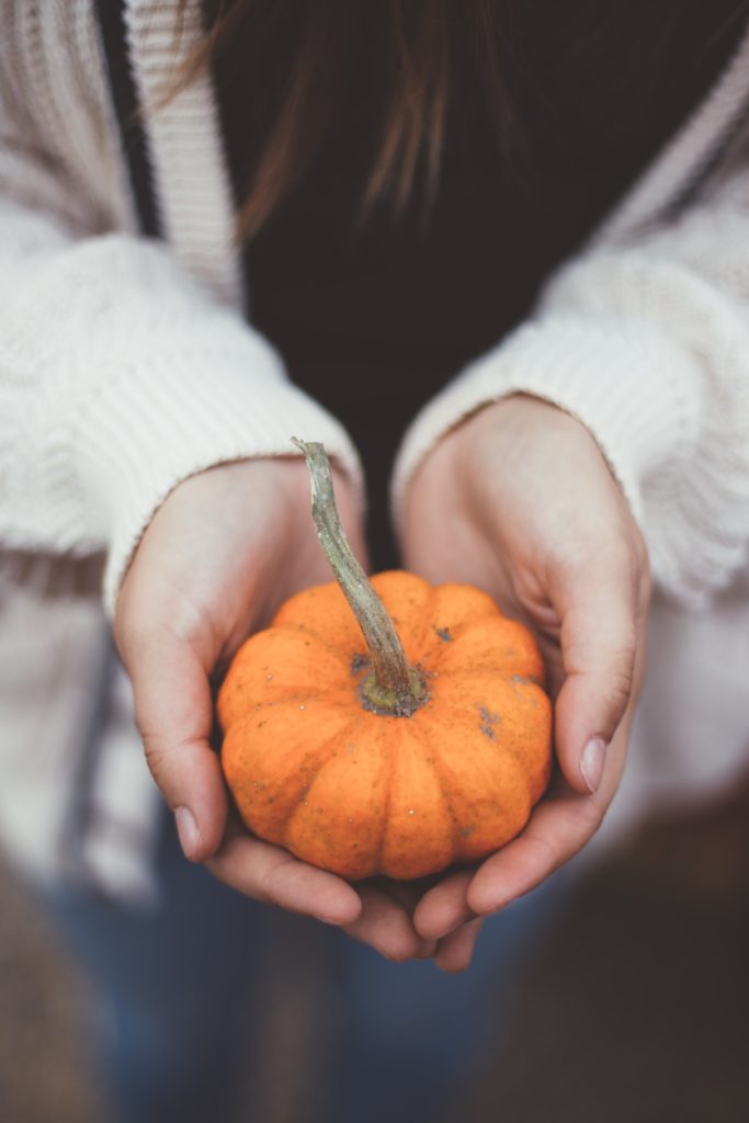 An image of two hands holding a small pumpkin