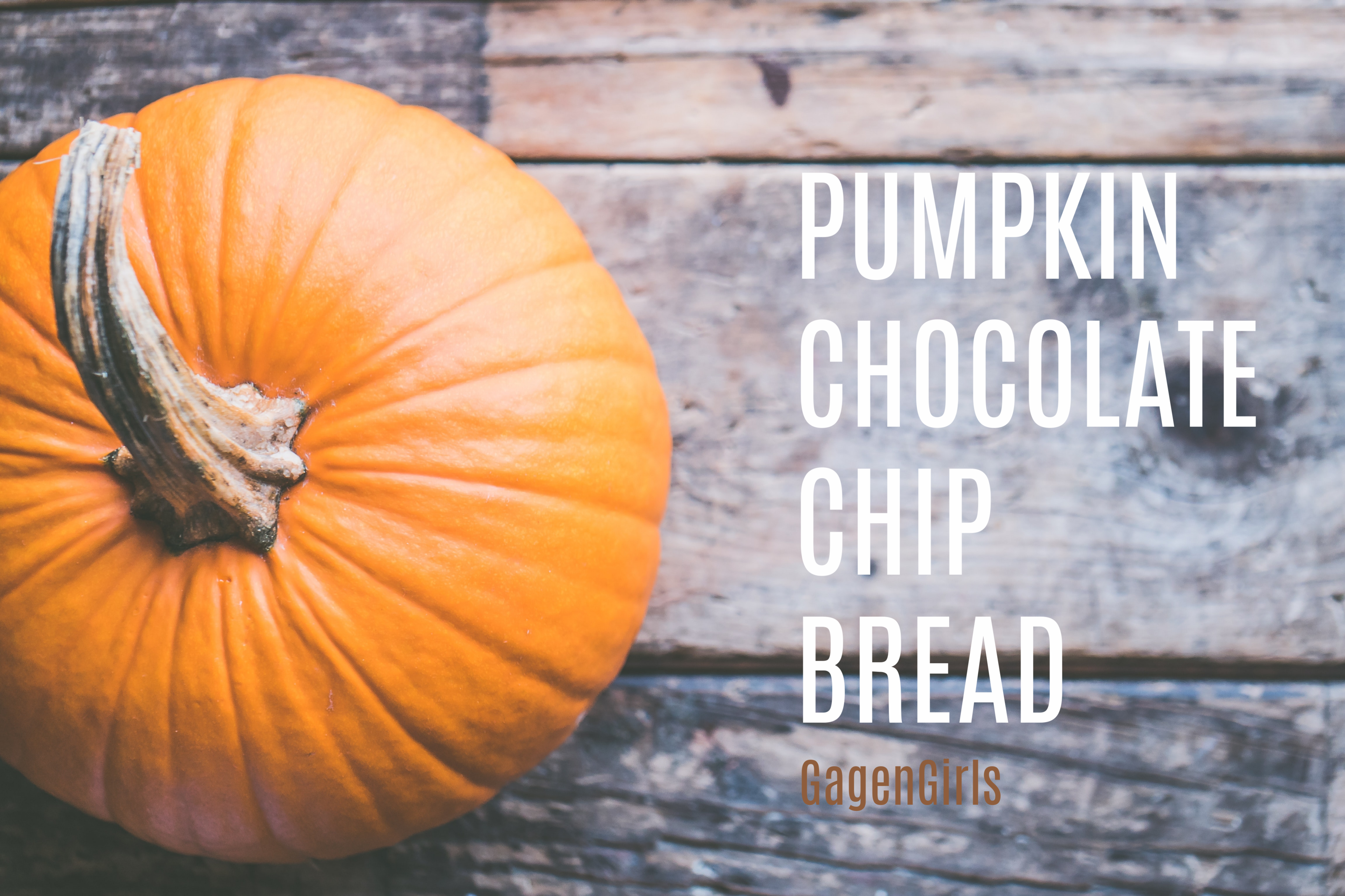 Pumpkin Chocolate Chip Bread