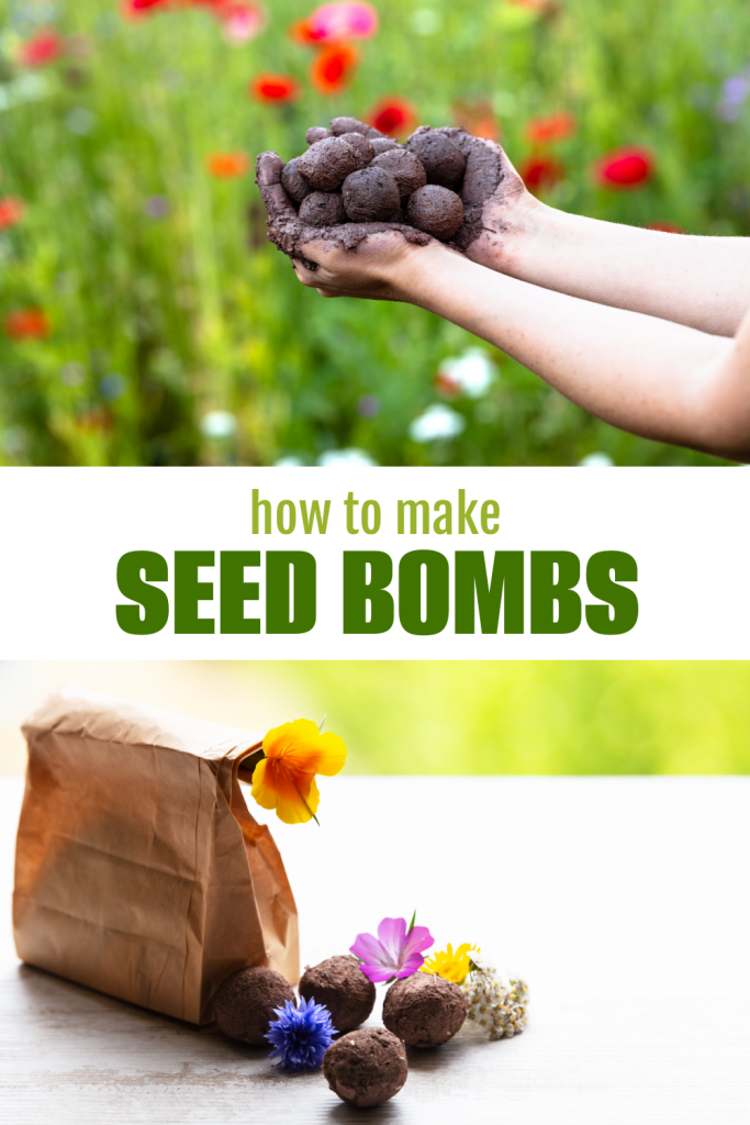 How to Make Seed Bombs