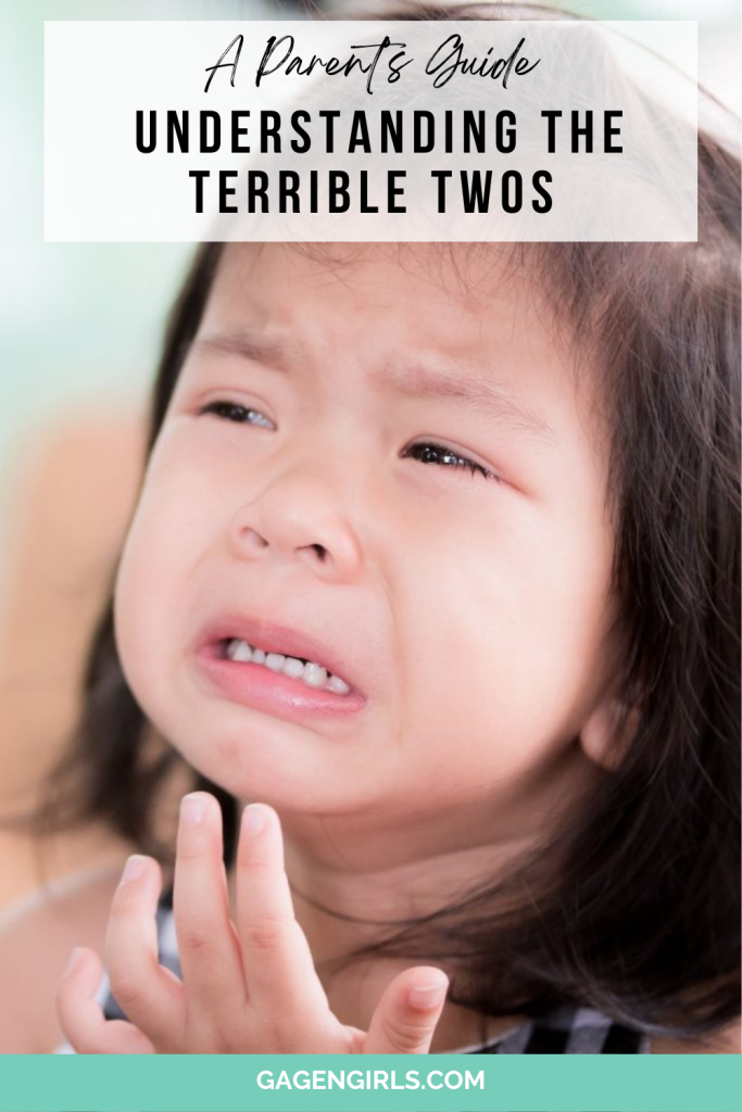 a parent's guide to understanding the terrible twos