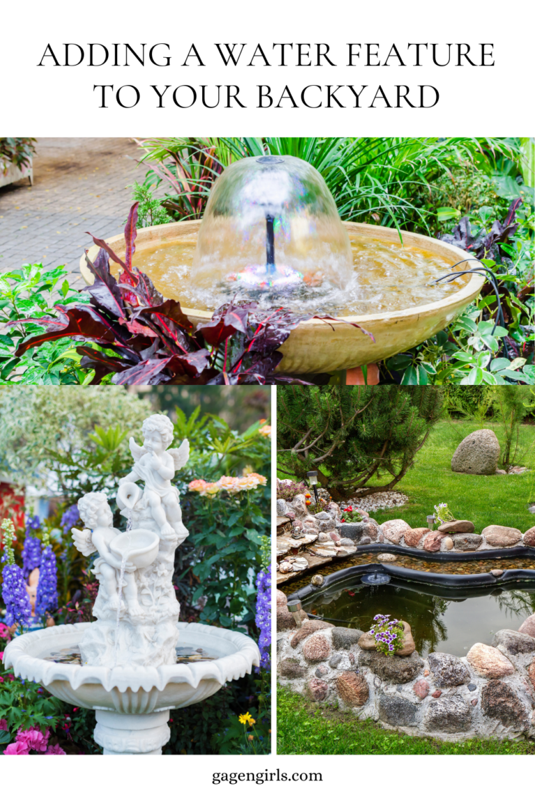 Adding a Water Feature to Your Backyard