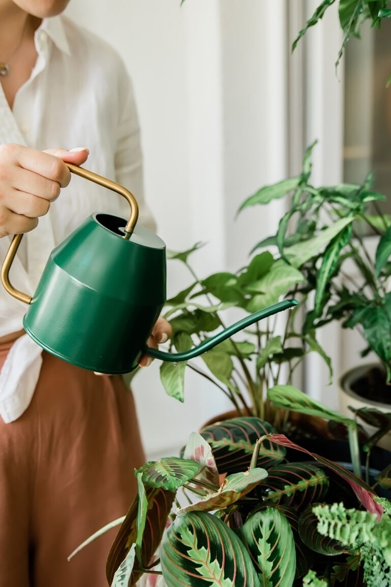 A close-up of a young woman dressed in business casual clothing watering her houseplants with a green watering can.