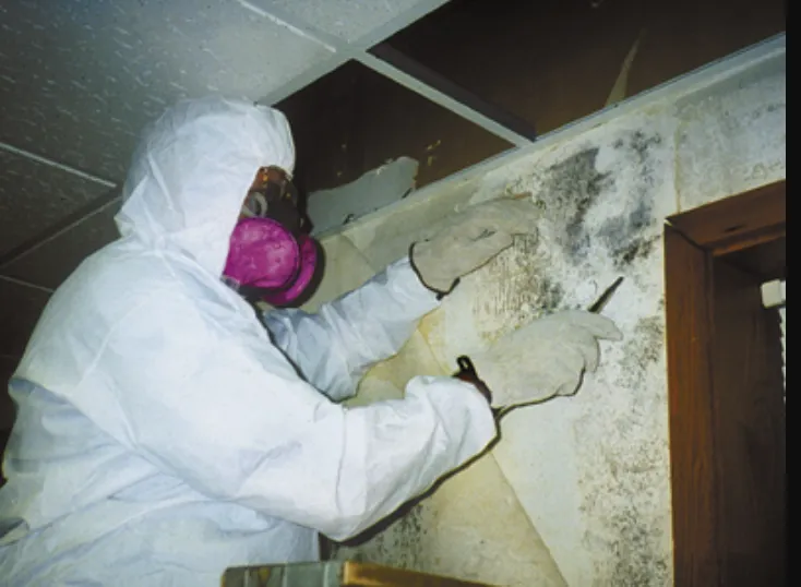 Worker in full protective gear scraping heavy mold growth from a wall during remediation.