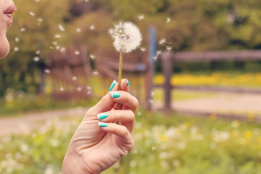 Person blowing a dandelion with seeds spreading in the air, illustrating pollen exposure and seasonal allergy triggers