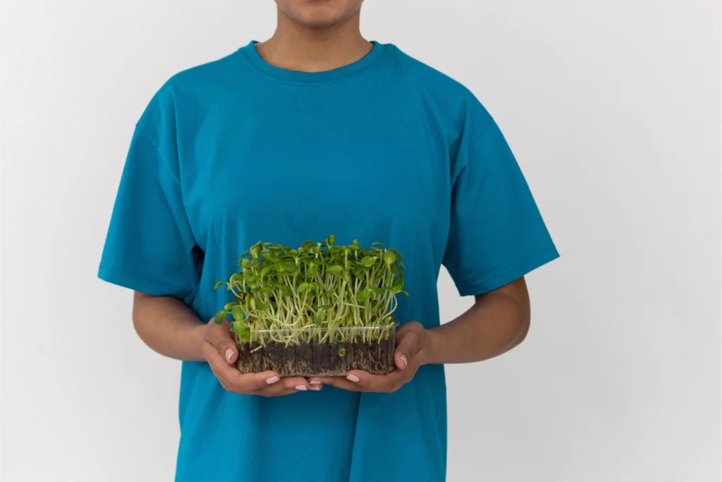 Person holding a container of freshly grown homegrown microgreens with visible roots.