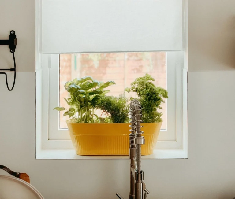 Small Indoor Growing Projects for Busy Homes