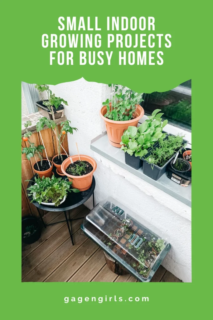 Pinterest graphic showing a small patio container vegetable garden for growing food in limited space.