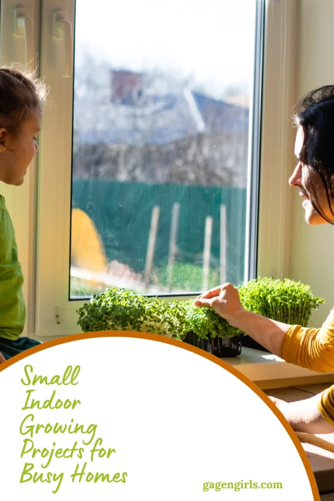 Parent and child tending microgreens on a sunny windowsill with the title "Small Indoor Growing Projects for Busy Homes."