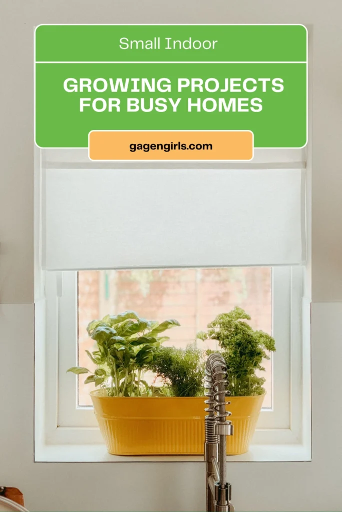 Pinterest graphic featuring a kitchen windowsill herb garden with the title "Small Indoor Growing Projects for Busy Homes."