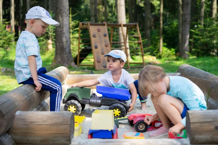 Backyard Play Equipment That Encourages Cooperative Play